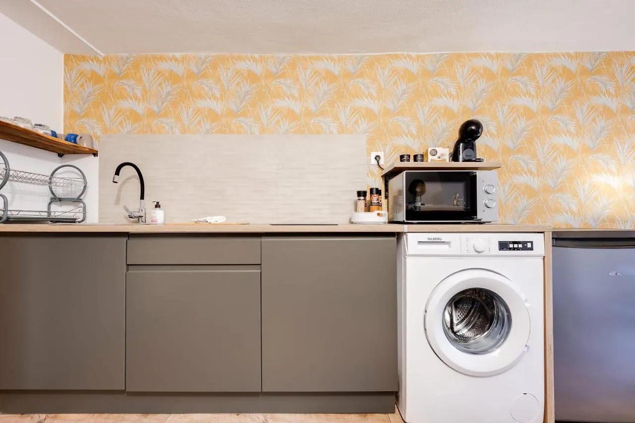 Apartment Le Cocon Carnot - Studio Cosy En Plein Coeur De La Ville D'Annecy