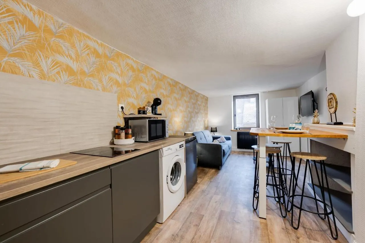 Apartment Le Cocon Carnot - Studio Cosy En Plein Coeur De La Ville D'Annecy