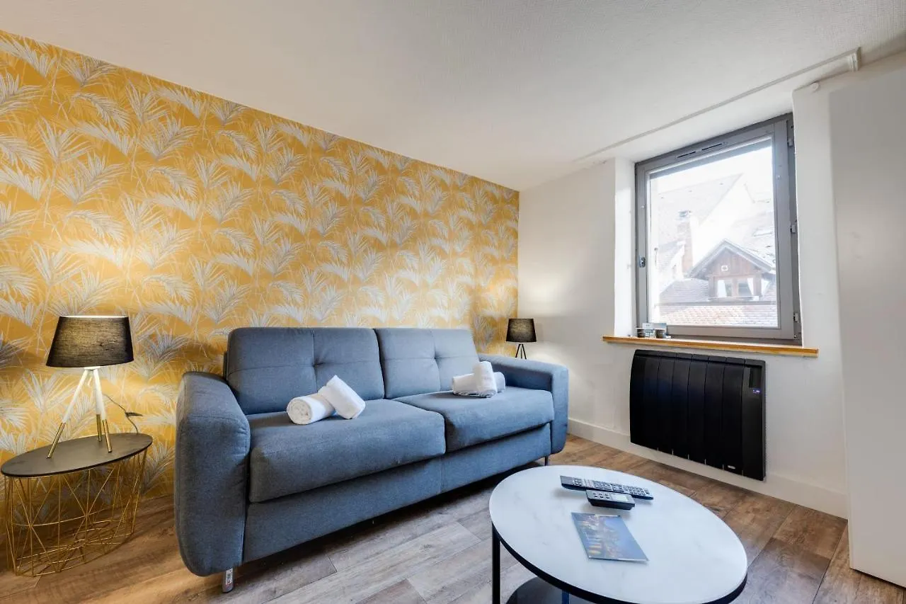 Le Cocon Carnot - Studio Cosy En Plein Coeur De La Ville D'Annecy France