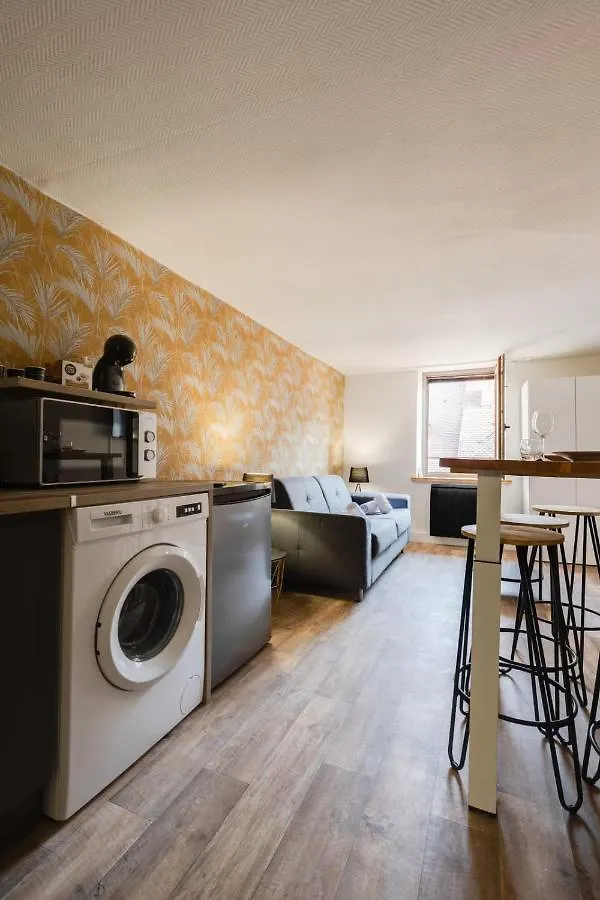 Le Cocon Carnot - Studio Cosy En Plein Coeur De La Ville D'Annecy Apartment Annecy