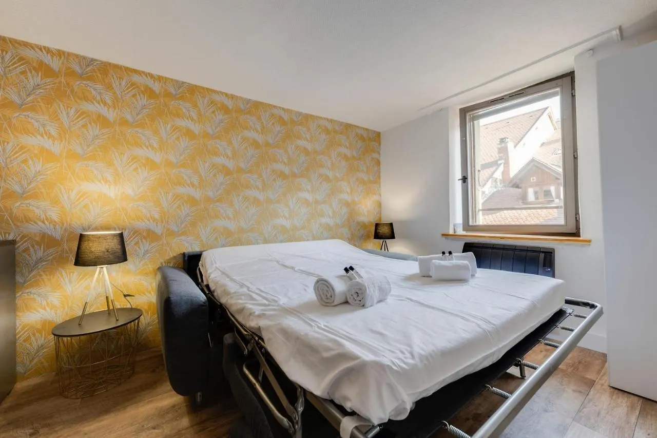 Le Cocon Carnot - Studio Cosy En Plein Coeur De La Ville D'Annecy Apartment Annecy