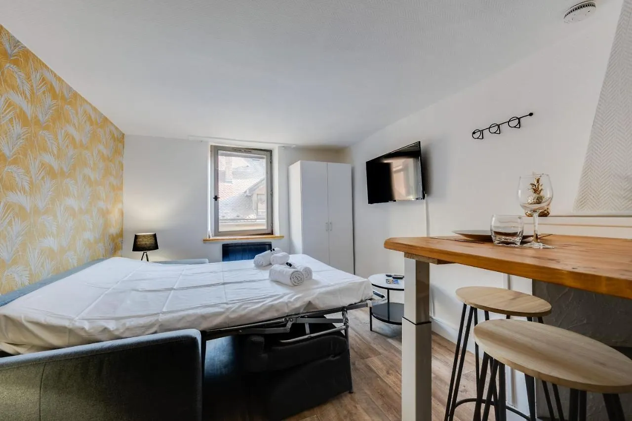 Le Cocon Carnot - Studio Cosy En Plein Coeur De La Ville D'Annecy 0*, Annecy France