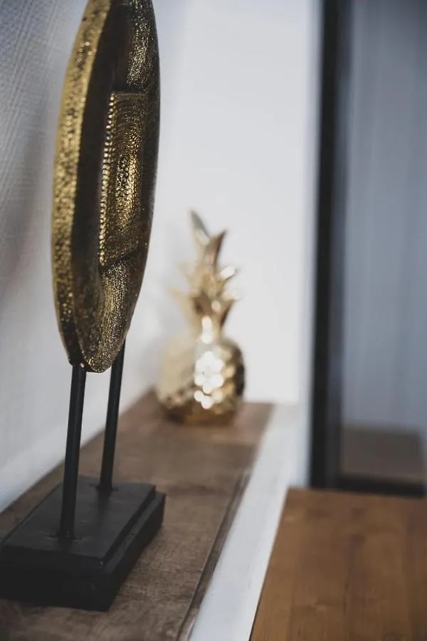 Le Cocon Carnot - Studio Cosy En Plein Coeur De La Ville D'Annecy Annecy
