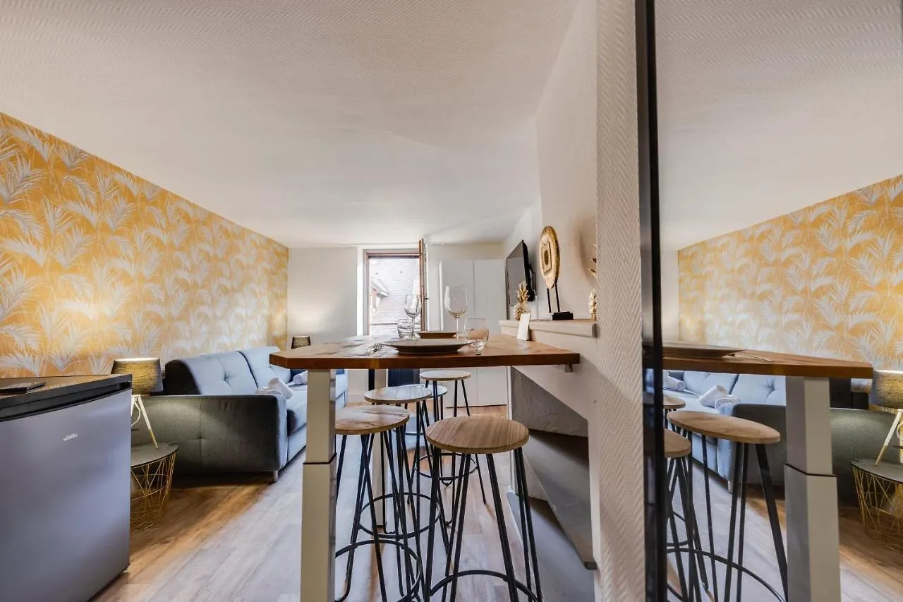 Apartment Le Cocon Carnot - Studio Cosy En Plein Coeur De La Ville D'Annecy